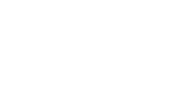 The Galileo Project